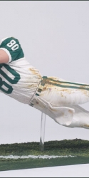 nfl2_wchrebet_photo_02_dl