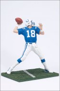 nfl8_pmanning2_photo_02_dp