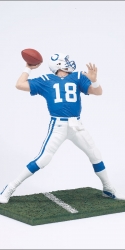 nfl8_pmanning2_photo_02_dp